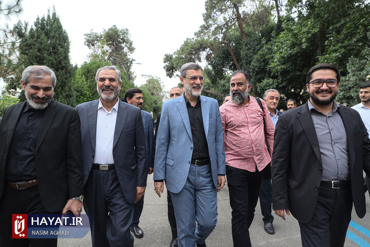 قاضی زاده هاشمی