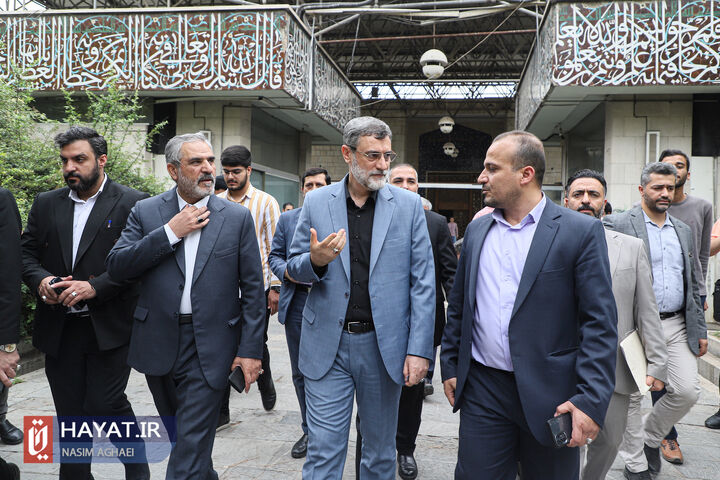 قاضی زاده هاشمی