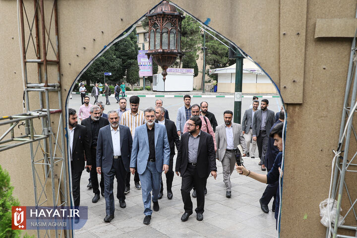 قاضی زاده هاشمی