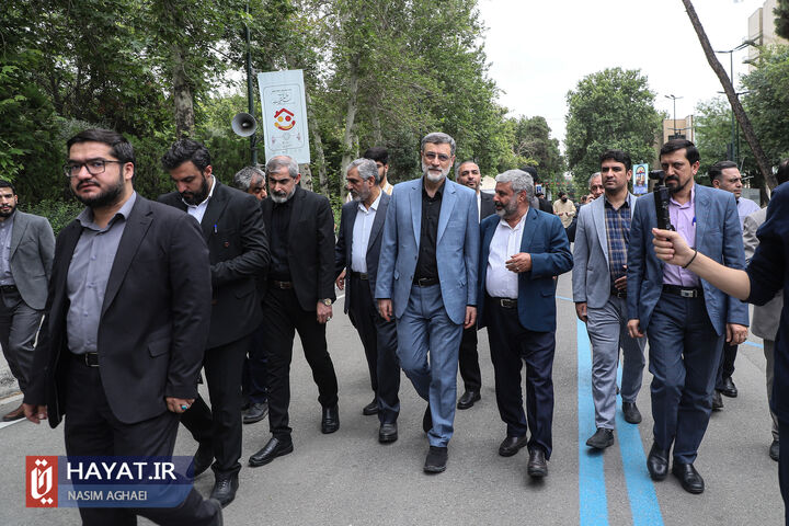 قاضی زاده هاشمی