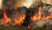 ۱۹ عامل آتش سوزی جنگل های لرستان به مراجع قضایی معرفی شدند 
