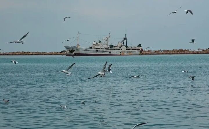 انصارالله با برقراری آتشبس موقت برای ورود کشتیهای امدادرسان موافقت کرده است انصارالله با برقراری آتشبس موقت برای ورود کشتیهای امدادرسان موافقت کرده است