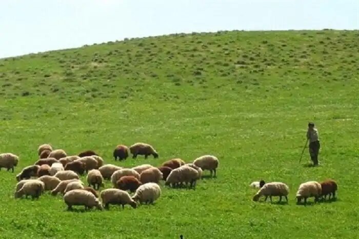 مرتعداران در سامانه «سمطا» ثبت‌نام کنند