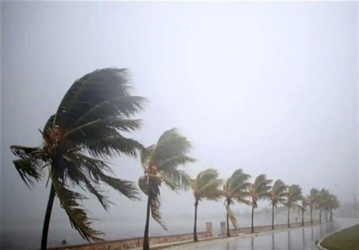 دریا در استان بوشهر متلاطم است دریا در استان بوشهر متلاطم است