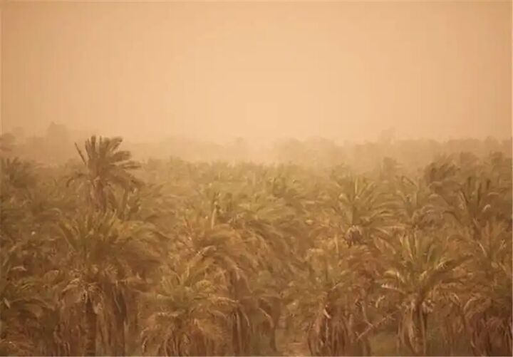 وزش باد نسبتا شدید در خوزستان وزش باد نسبتا شدید در خوزستان
