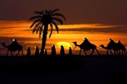 ورود کاروان عشق به کربلا؛ شیعیان دیگر هوای نینوا دارد حسین (ع) ...