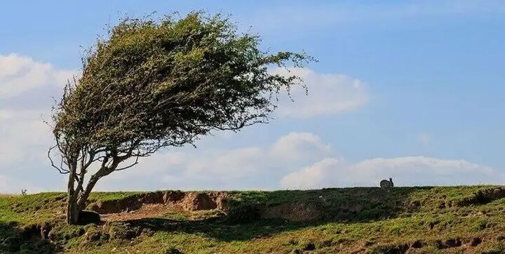 وزش شدید باد استان زنجان را فرا میگیرد وزش شدید باد استان زنجان را فرا میگیرد