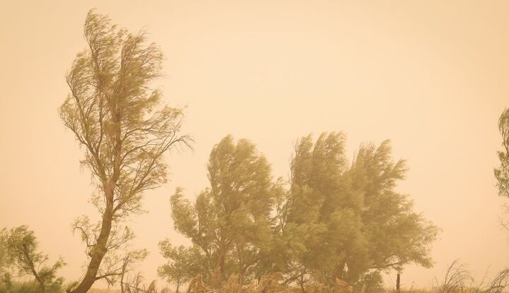 وقوع وزش شدید باد همراه با گردوغبار استان زنجان را فرا میگیرد وقوع وزش شدید باد همراه با گردوغبار استان زنجان را فرا میگیرد