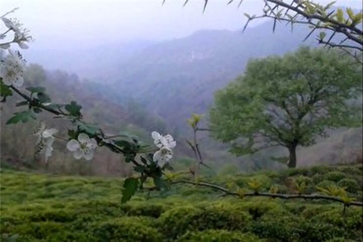 هفته آینده هوای زنجان خنکتر میشود هفته آینده هوای زنجان خنکتر میشود