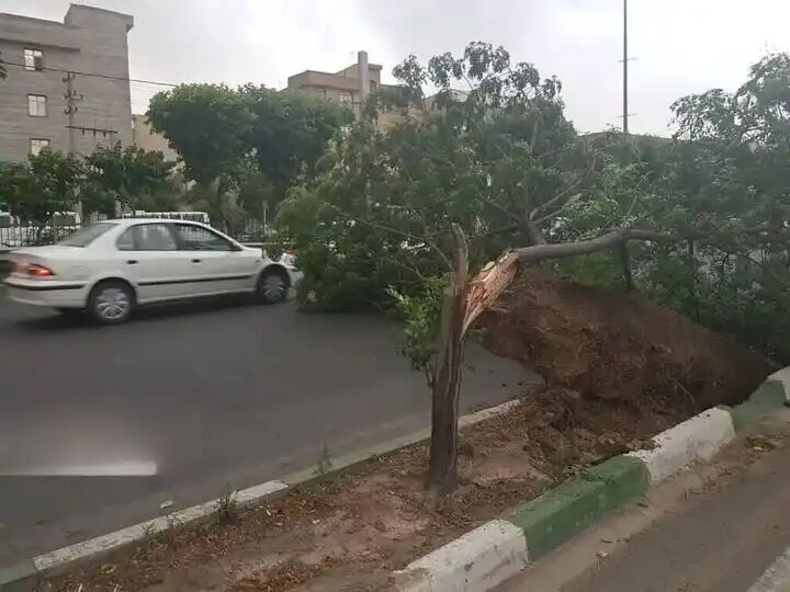 وزش باد شدید زنجان را درمی‌نوردد