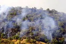 آتشسوزی خائیز مهار شد آتشسوزی خائیز مهار شد