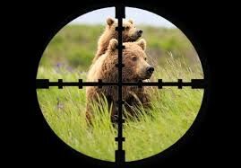 جرایم شکار و صید غیرمجاز افزایش یافت جرایم شکار و صید غیرمجاز افزایش یافت