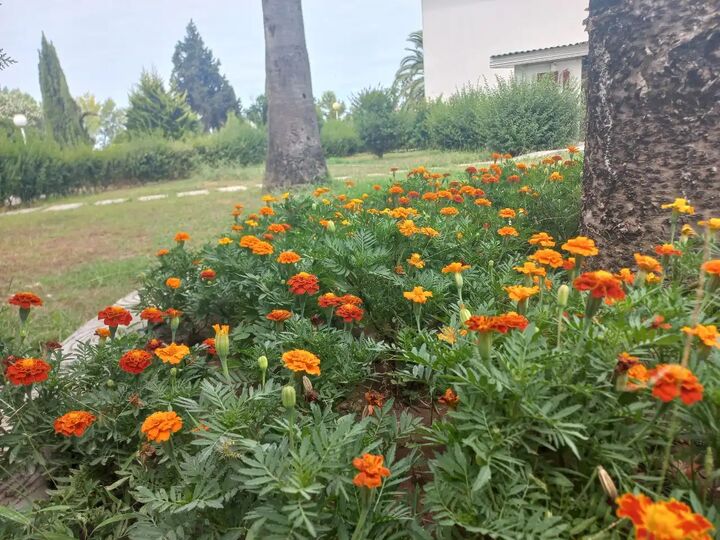 گیلان گرمتر میشود گیلان گرمتر میشود