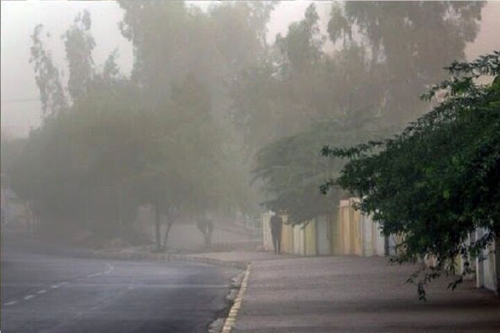 ورود مدیریت بحران به موضوع رفع خطر از درختان پایتخت ورود مدیریت بحران به موضوع رفع خطر از درختان پایتخت