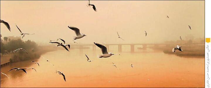 برنامه ۱۰ ساله مقابله با گردوغبار در ایران تدوین شد برنامه ۱۰ ساله مقابله با گردوغبار در ایران تدوین شد