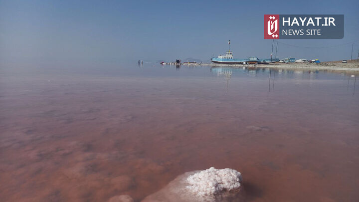 گزارش تصویری آقای استرون