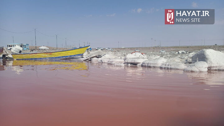 گزارش تصویری آقای استرون