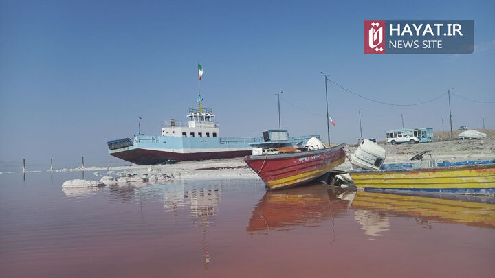 گزارش تصویری آقای استرون