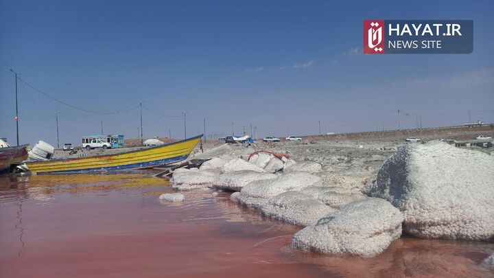 گزارش تصویری آقای استرون
