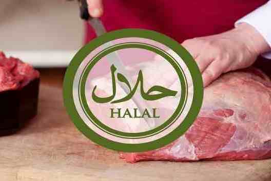 تولید گوشت حلال غیرحیوانی در کشور تولید گوشت حلال غیرحیوانی در کشور