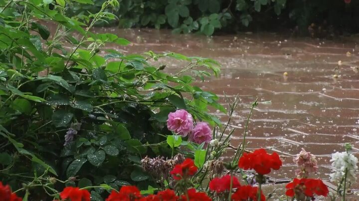 تداوم ناپایداری هوا در گیلان تداوم ناپایداری هوا در گیلان