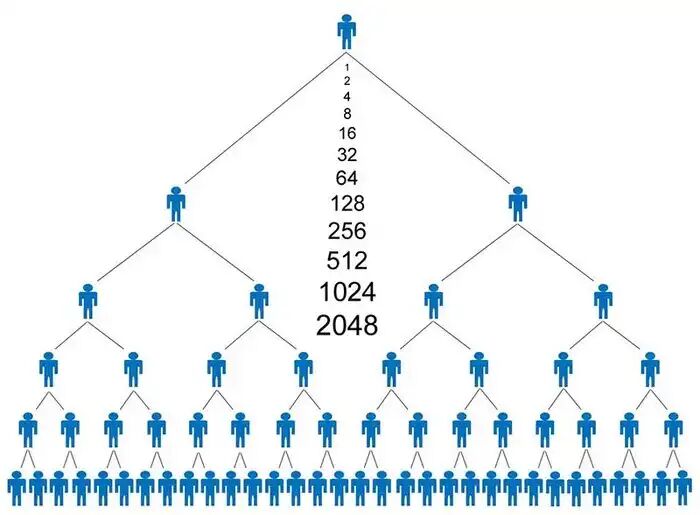 اجرای طرح سراسری برخورد با شرکتهای هرمی/ بازداشت ۶۱ تن اجرای طرح سراسری برخورد با شرکتهای هرمی/ بازداشت ۶۱ تن