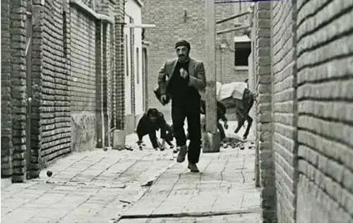 آسیب شناسی یک عارضهی فراگیر در جامعه هنری ایران/ خودت تسلیت بگو!