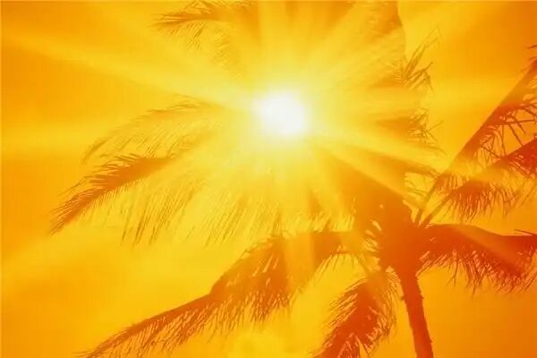 دمای هوای ۴۰ درجه ۶ شهر ساحلی بوشهر دمای هوای ۴۰ درجه ۶ شهر ساحلی بوشهر