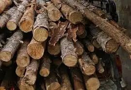 کشف ۲ محموله چوب قاچاق در سردشت کشف ۲ محموله چوب قاچاق در سردشت