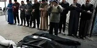 شهادت هشت فلسطینی در بمباران شمال غزه شهادت هشت فلسطینی در بمباران شمال غزه