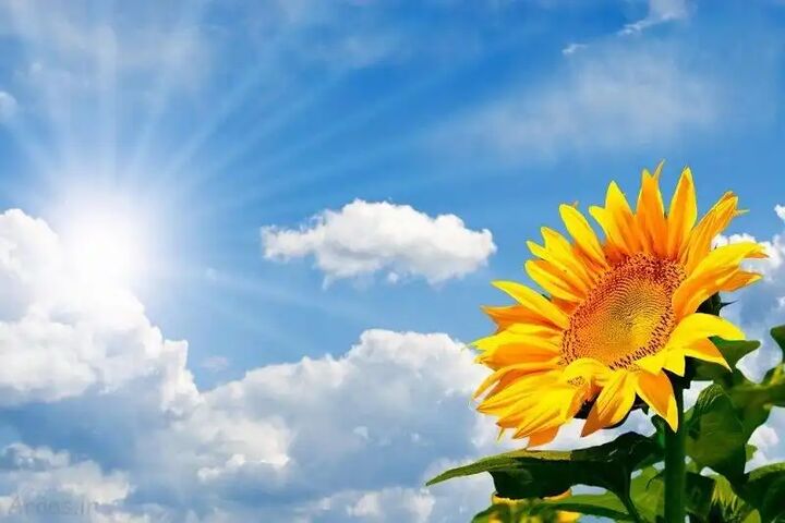 تداوم گرمای هوا تا چهارشنبه در خراسان شمالی تداوم گرمای هوا تا چهارشنبه در خراسان شمالی