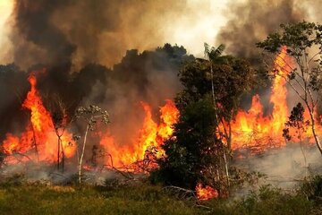 فیلم/ آتش‌سوزی گسترده در عربستان