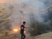 جانفشانی زنان و مردان برای خاموشی جنگل‌ها + فیلم