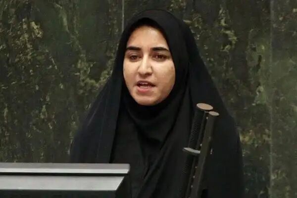 فلاحی: نقاط قوت کابینه پیشنهادی دولت بر نقاط ضعفش تسلط دارد فلاحی: نقاط قوت کابینه پیشنهادی دولت بر نقاط ضعفش تسلط دارد