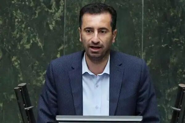 صالحی: برخی از وزرای پیشنهادی رزومه ضعیفی داشتند صالحی: برخی از وزرای پیشنهادی رزومه ضعیفی داشتند