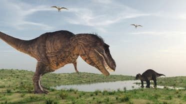 یک سیارک کربنی عامل نابودی دایناسورها بوده است یک سیارک کربنی عامل نابودی دایناسورها بوده است