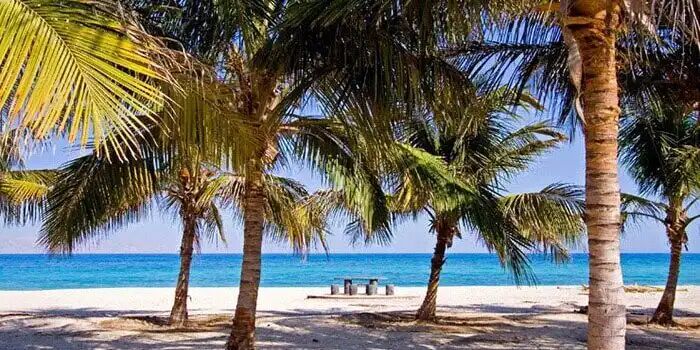 کیش خنکتر میشود کیش خنکتر میشود