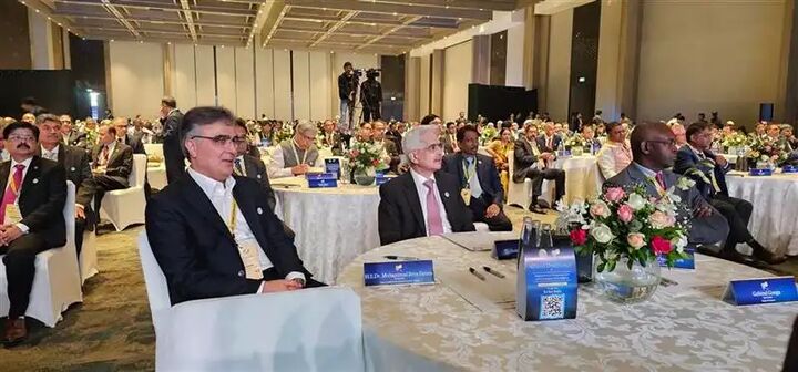 کنفرانس جهانی زیرساخت عمومی دیجیتال در هند آغاز شد کنفرانس جهانی زیرساخت عمومی دیجیتال در هند آغاز شد