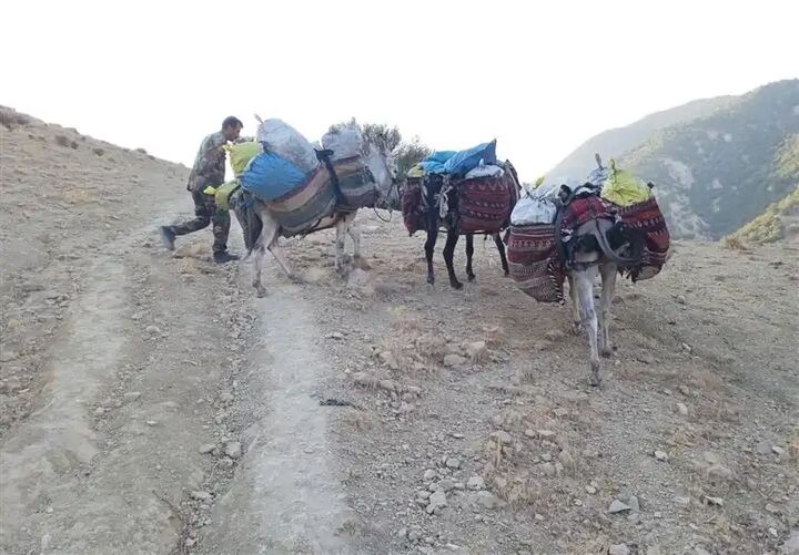 کاروان الاغهای حمل ذغال در لوداب توقیف شد کاروان الاغهای حمل ذغال در لوداب توقیف شد