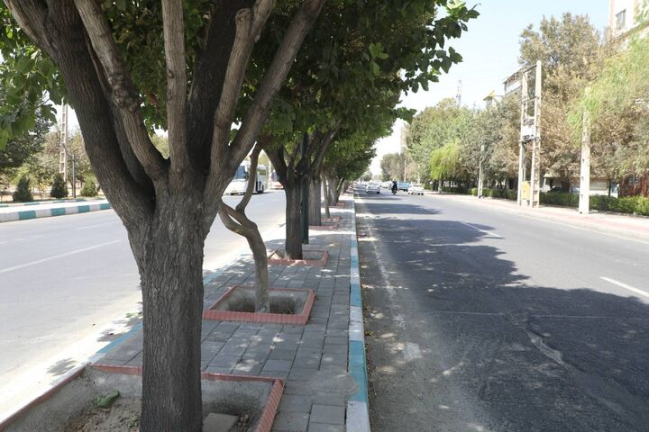 اجرای طرح الگوی خدمت در بلوار مطهری منطقه ۱۹ اجرای طرح الگوی خدمت در بلوار مطهری منطقه ۱۹