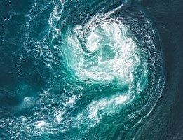 کشف ۲۰ گونه دریایی جدید که قبلاً هرگز دیده نشده بودند کشف ۲۰ گونه دریایی جدید که قبلاً هرگز دیده نشده بودند