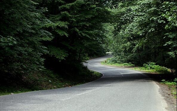 جادهای که از دیدن آن سیر نمیشوید/ رویاییترین مسیر جنگلی ایران را بشناسید! جادهای که از دیدن آن سیر نمیشوید/ رویاییترین مسیر جنگلی ایران را بشناسید!