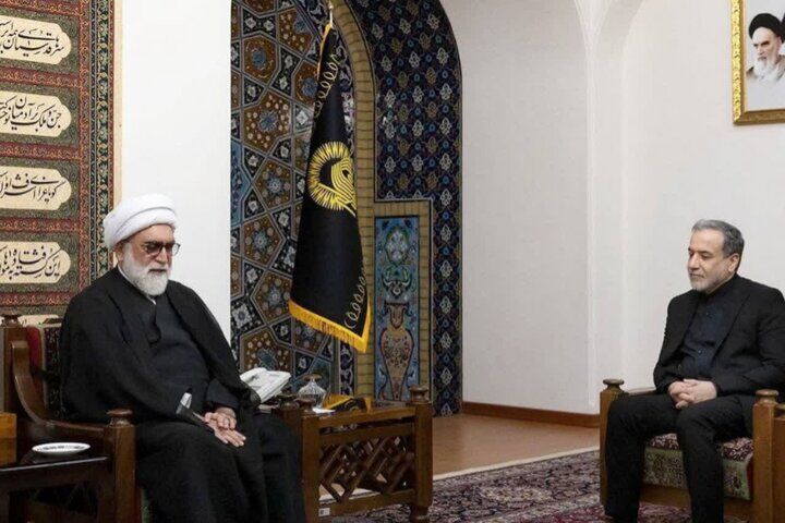 حرم رضوی میتواند حلقه وصل ایرانیان مقیم خارج با کشور باشد حرم رضوی میتواند حلقه وصل ایرانیان مقیم خارج با کشور باشد