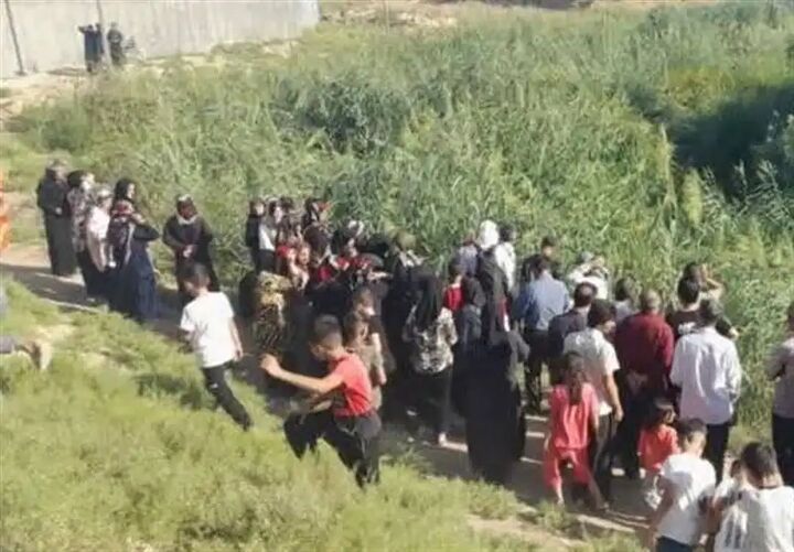 جزئیات جدید از فوت آرین/ علائم کبودی در سر جزئیات جدید از فوت آرین/ علائم کبودی در سر