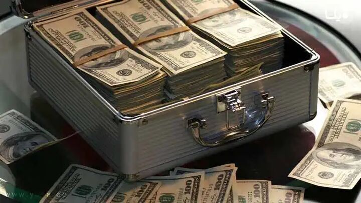 خروج بیش از ۵ هزار یورو و معادل آن از کشور «قاچاق» محسوب میشود خروج بیش از ۵ هزار یورو و معادل آن از کشور «قاچاق» محسوب میشود