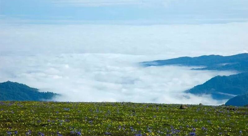 بهترین مقاصد گردشگری در ایران را بشناسیم/ روزهای پایانی شهریورماه به کجا سفر کنیم؟