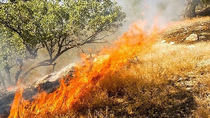 وقوع آتشسوزی ۵۰ ساعته در کوهسفید لنده وقوع آتشسوزی ۵۰ ساعته در کوهسفید لنده