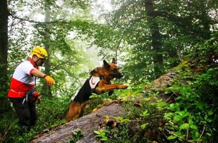 فیلم/ نجات زن باردار فیلم/ نجات زن باردار