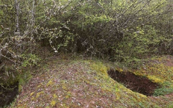 جستجوی گنج حادثه آفرید جستجوی گنج حادثه آفرید