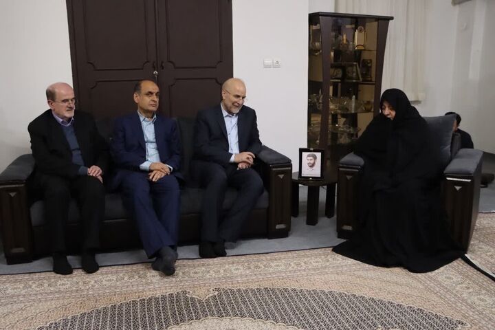 دیدار رئیس مجلس با خانواده شهید «حسین املاکی» دیدار رئیس مجلس با خانواده شهید «حسین املاکی»